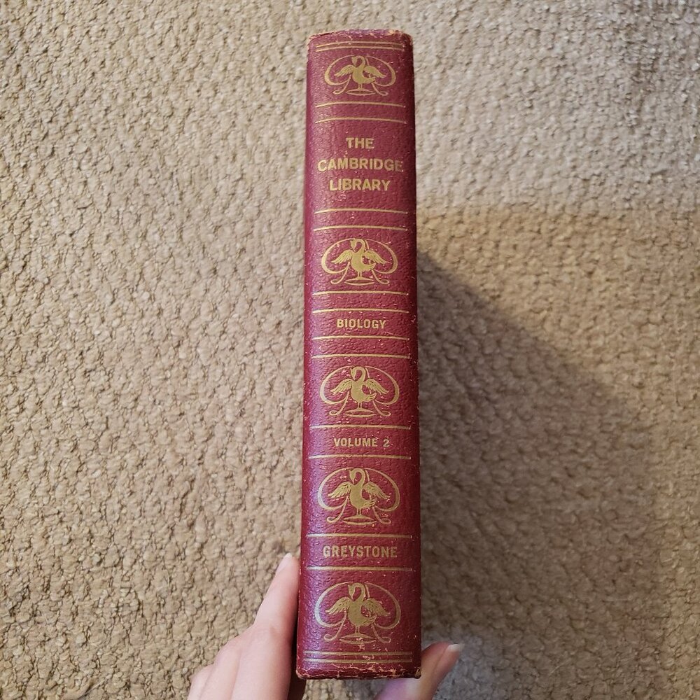 Vintage science textbook themed book set - Picture 4 of 9